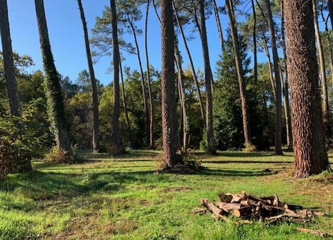 Camping Val de l'Eyre, 4* - 19