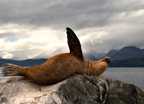 Circuit De l'Argentine au Chili - 3