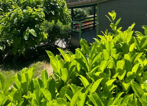 Camping Ushuaïa Village Les Pins d'Ucel 4* - 47