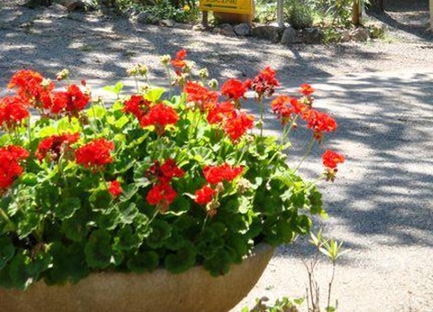 Camping Le Parc, 4* - 41