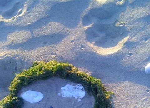 Camping de Pont Mahé, 4* - 50