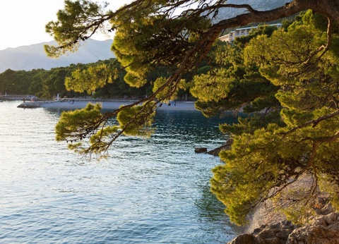 Hôtel BlueSun Soline 4* - 26