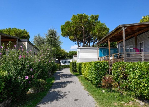 Camping Internazionale Eden, 4* - 14