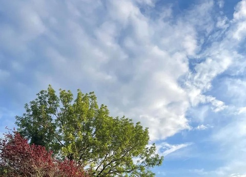 Camping La Cremade - 10