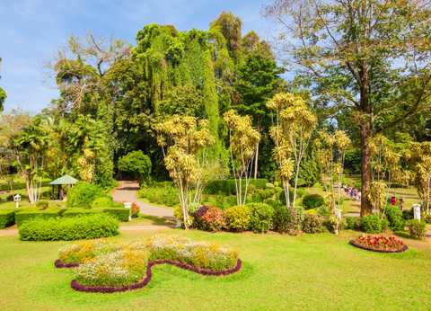 Circuit Dame Nature de Ceylan... for Women Only - 17