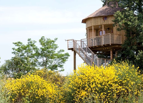 Prenez de la hauteur en famille en séjournant en cabane dans les arbres près de Poitiers - 4* - 2