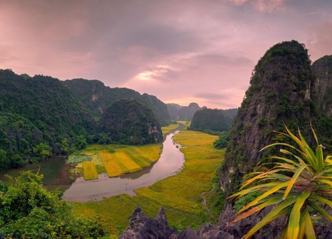 Circuit privatif Trésors cachés du Vietnam - 4