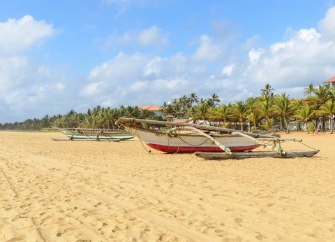 Circuit privé Ceylan en liberté - 10