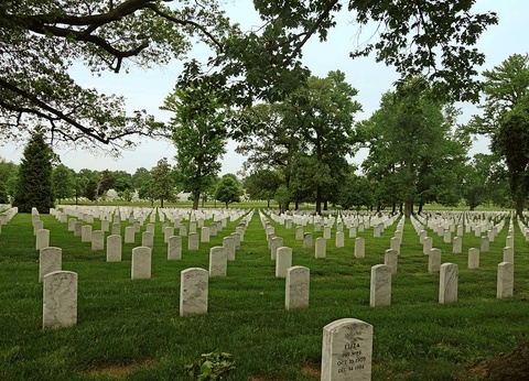 Circuit Clin d'il à l'Est + Extension Boston, chutes du Niagara et Chicago - 10