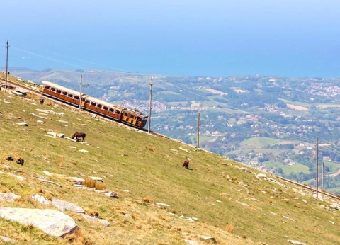 Camping Suhiberry, 4* - 15