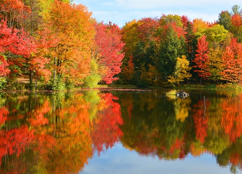 Circuit Canada Est - Sentiers, lacs et forêts - 5