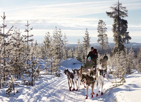 Circuit en liberté combiné Buenos Aires- Ushuaia avec une journée en Uruguay - 5