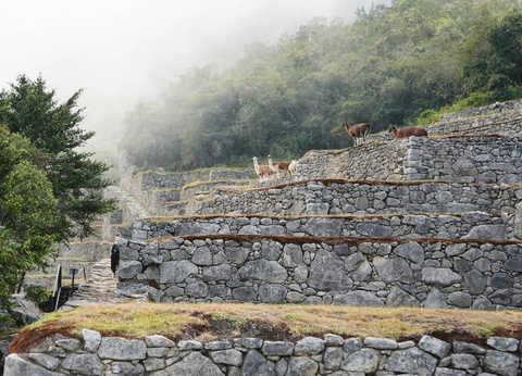 Circuit Sur la trace des Incas : de la Vallée Sacrée aux profondeurs de l'Amazonie - 10