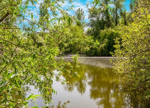 Camping les Etangs du Plessac 4* - 63