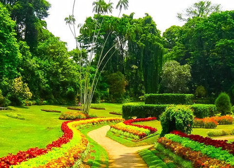 Circuit Les Incontournables du Sri Lanka et Extension Anantaya Resort & Spa 5*nl - 5