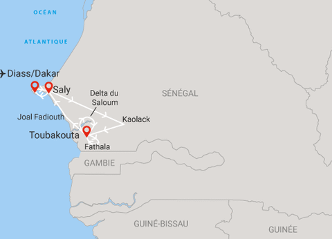 Circuit Beautés du Sénégal et balade avec les lions de Fathala en privatif - 9