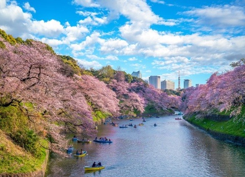 Circuit De Séoul à Tokyo, histoire et traditions 3* - 15