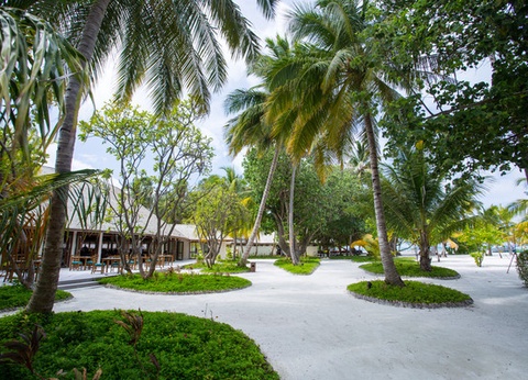 Hôtel Meeru Island 4* - 34
