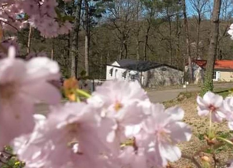 Camping d'Hurongues, 4* - 11