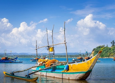 Circuit privé Ceylan buissonnier - 26