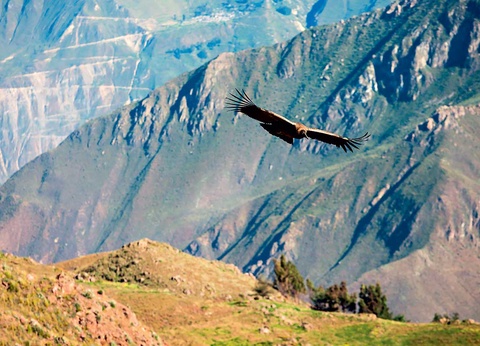 Circuit Le Chemin des Incas - 9