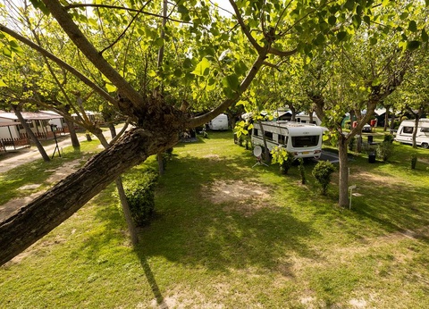 Camping Classe 3* - 66