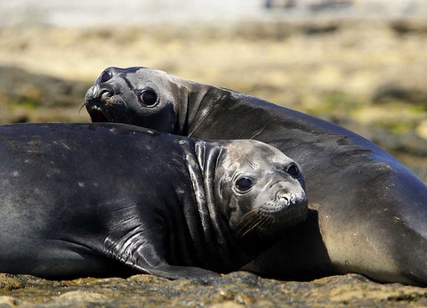 Circuit Sublime Argentine - 7