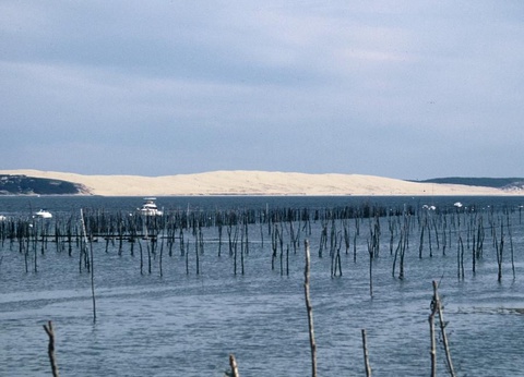 Camping Val de l'Eyre, 4* - 25