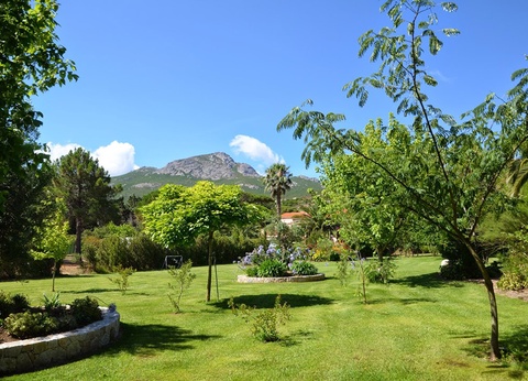 Résidence Casa Oleanda 3* ( avec vols réguliers ) - 2