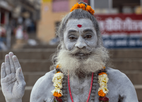 Circuit Sur la route du Taj Mahal au Tigres de Ranthambore - 18