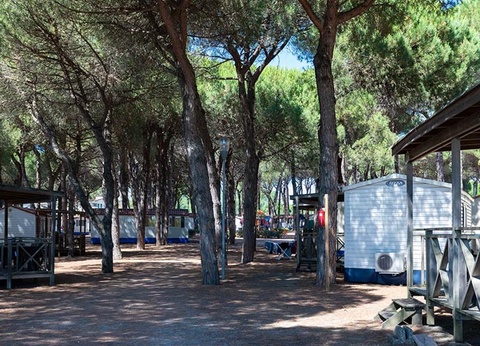 Camping Pineta sul Mare, 3* - 101