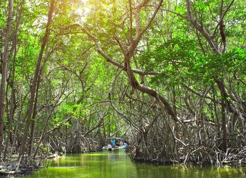 Autotour Merveilles du monde Maya - 8