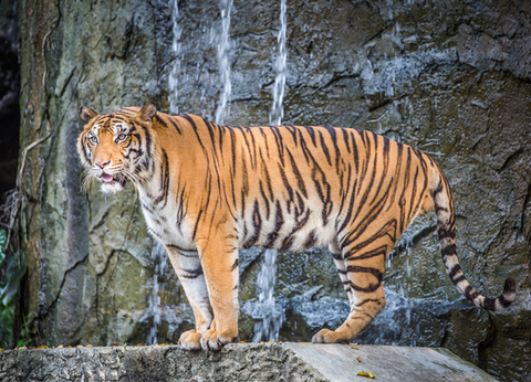 Circuit Essence du Népal, Voyage Ethique et Responsable en Privatif - 10