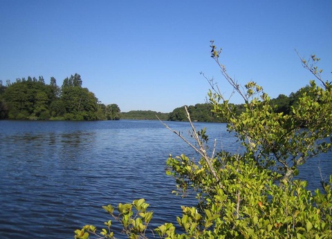 Camping Les 2 Etangs, 4* - 27