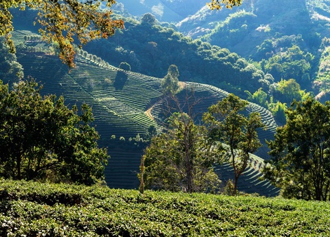 Escapade Thaïlandaise - Voyage combiné de Bangkok , Chiang Rai , Chiang Mai , et finissant à Khao Lak - 28