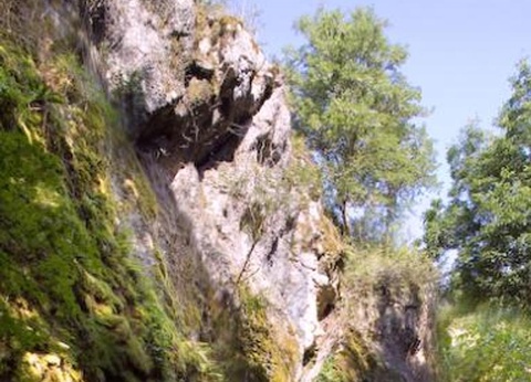 Flower Camping De la Plage, 4* - 64