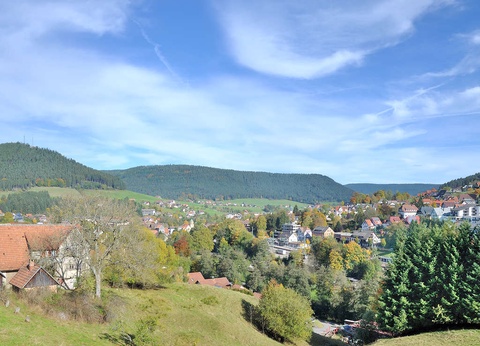 Bulles et romance dans le sud de l'Allemagne (à partir de 2 nuits) - 4* - 7