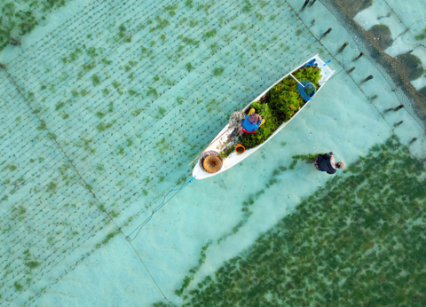 Combiné Des Rizières de l'île des Dieux aux eaux turquoise de Nusa Lembongan - 9