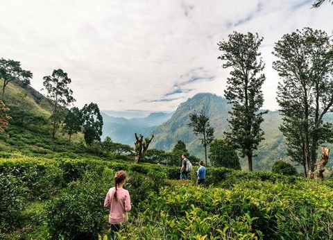 Circuit Carpe Diem au Sri Lanka - 16