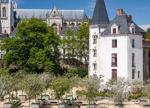 Découvrez Nantes depuis un bel appartement - 3* - 7