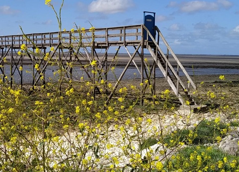 Camping Au Pigeonnier, 4* - 71