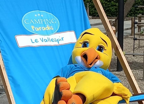 Camping Paradis - Vallespir, 3* - 62