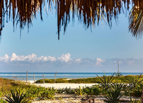 MEXIQUE | Combiné HM Playa del Carmen 4* & HM Paraiso del Mar 4* - 17