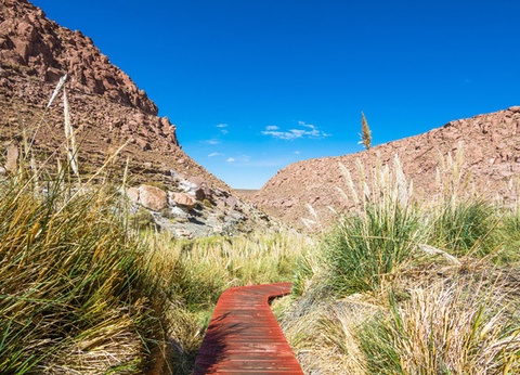 Circuit Chili, des Andes aux moais de l'Île de Pâques (maximum 16 participants) - 14