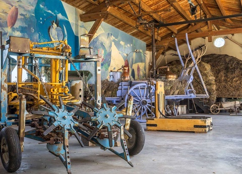 Découverte du Musée de la Lavande à Cavaillon - 3* - 31