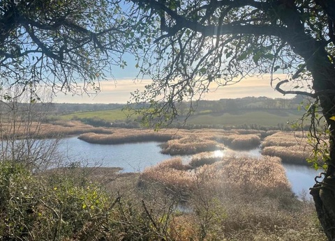 Damona Lodges, 3* - 19