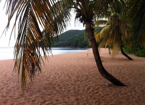 Habitation Grande Anse 3* avec Location de voiture - 7