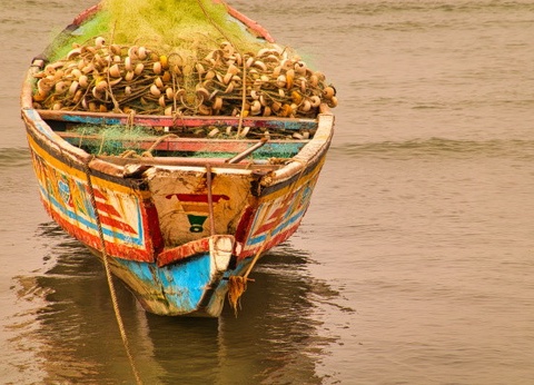 Circuit Beautés et sensations en pays Bassari *** - 14