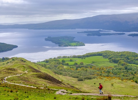 Circuit en étoile Charme écossais - 6