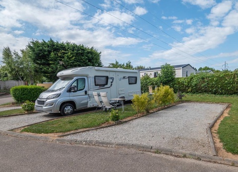 Flower Camping Vitamin, 4* - 39